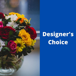 Mona's Designer Choice Mona's Designer Choice