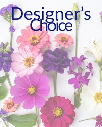 Mona's Designer Choice Mona's Designer Choice