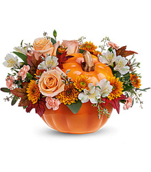Hello Pumpkin Hello Pumpkin